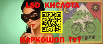 прущие грибы Кингисепп