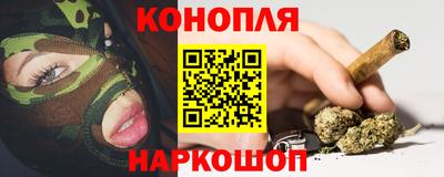 гидра Кинель