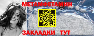 прущие грибы Кингисепп