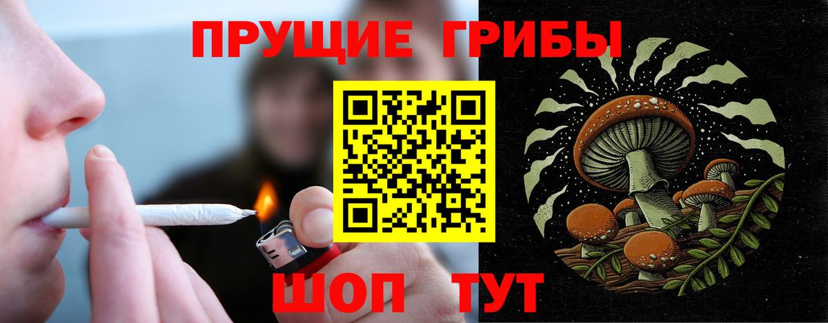 где купить наркоту  Псилоцибиновые грибы прущие грибы  Биробиджан  Вход с VPN  Галлюциногенные грибы Cubensis 